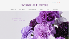 FLORIGENE FLOWERS