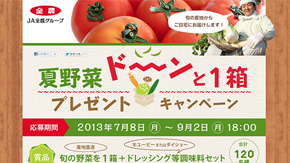 夏野菜プレゼントキャンペーン